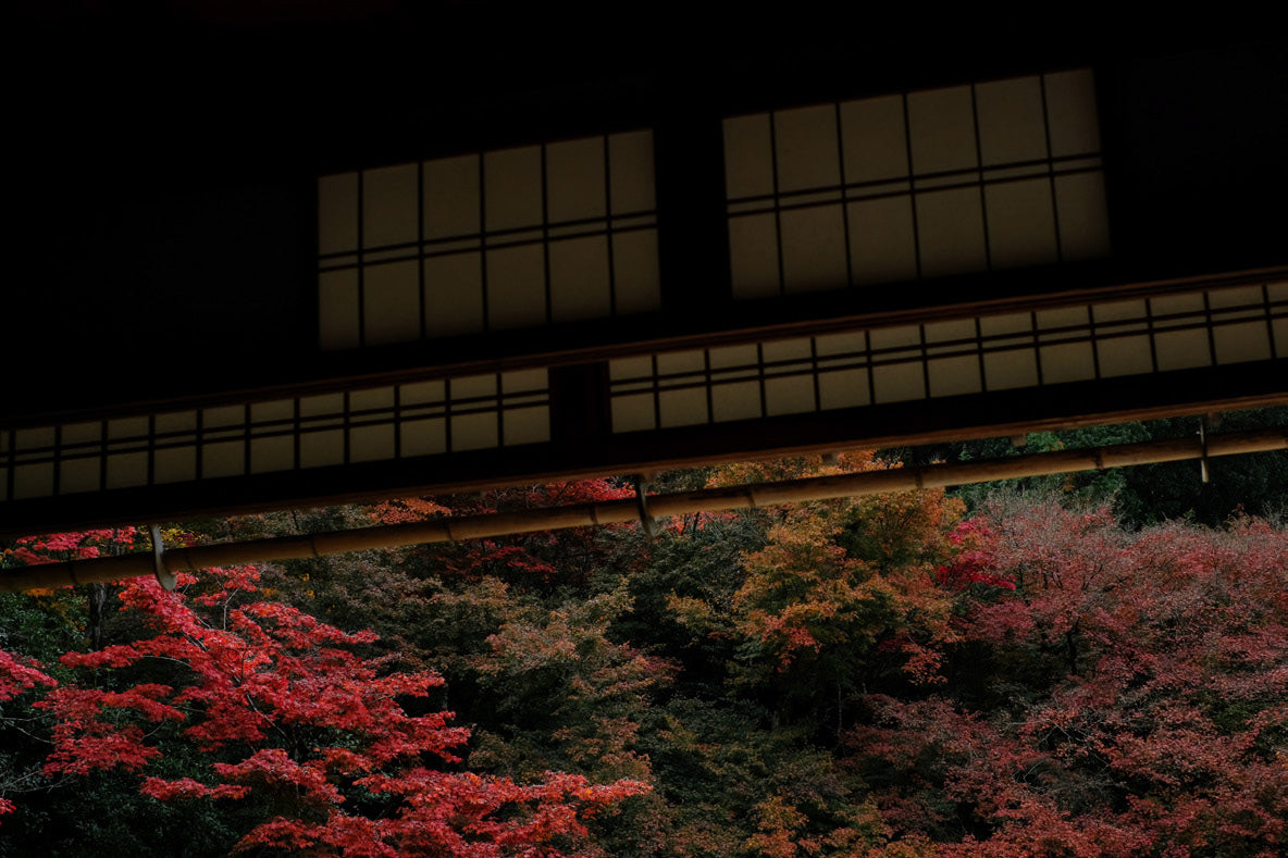 Traditional Japanese building with red foliage in the background