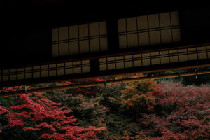 Traditional Japanese building with red foliage in the background