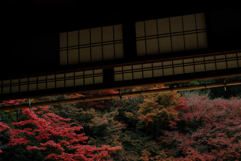 Traditional Japanese building with red foliage in the background