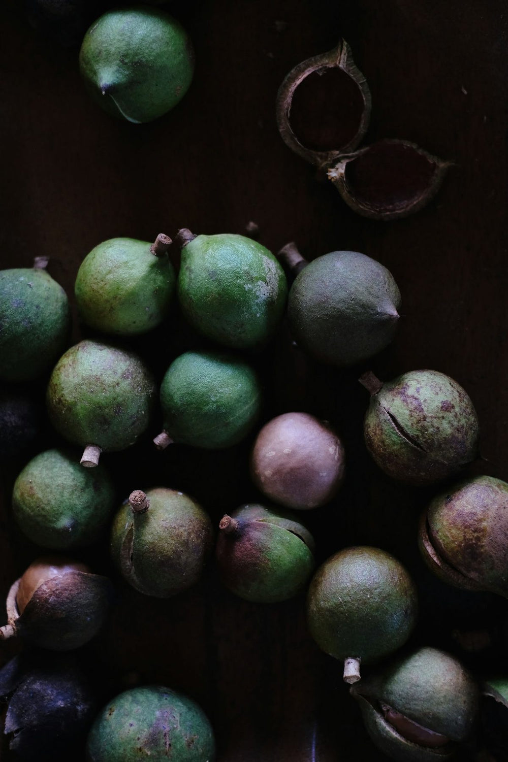 Macadmia Nuts Hand Harvested