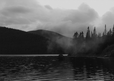 Fog settles over a forested lake winter