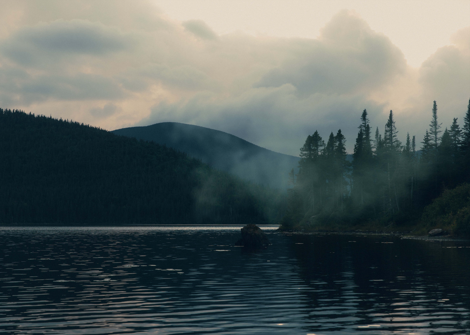 Fog rests over a forested winter lake 