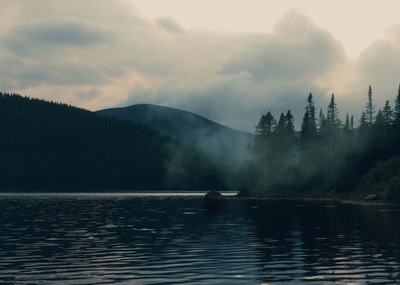 Fog rests over a forested winter lake 