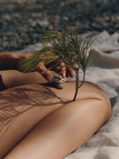 Person holding a small plant on a sandy surface with a blurred natural background