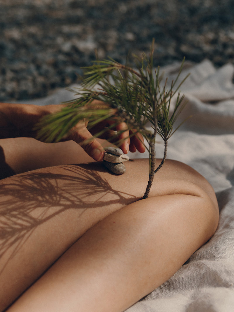 Person holding a small plant on a sandy surface with a blurred natural background