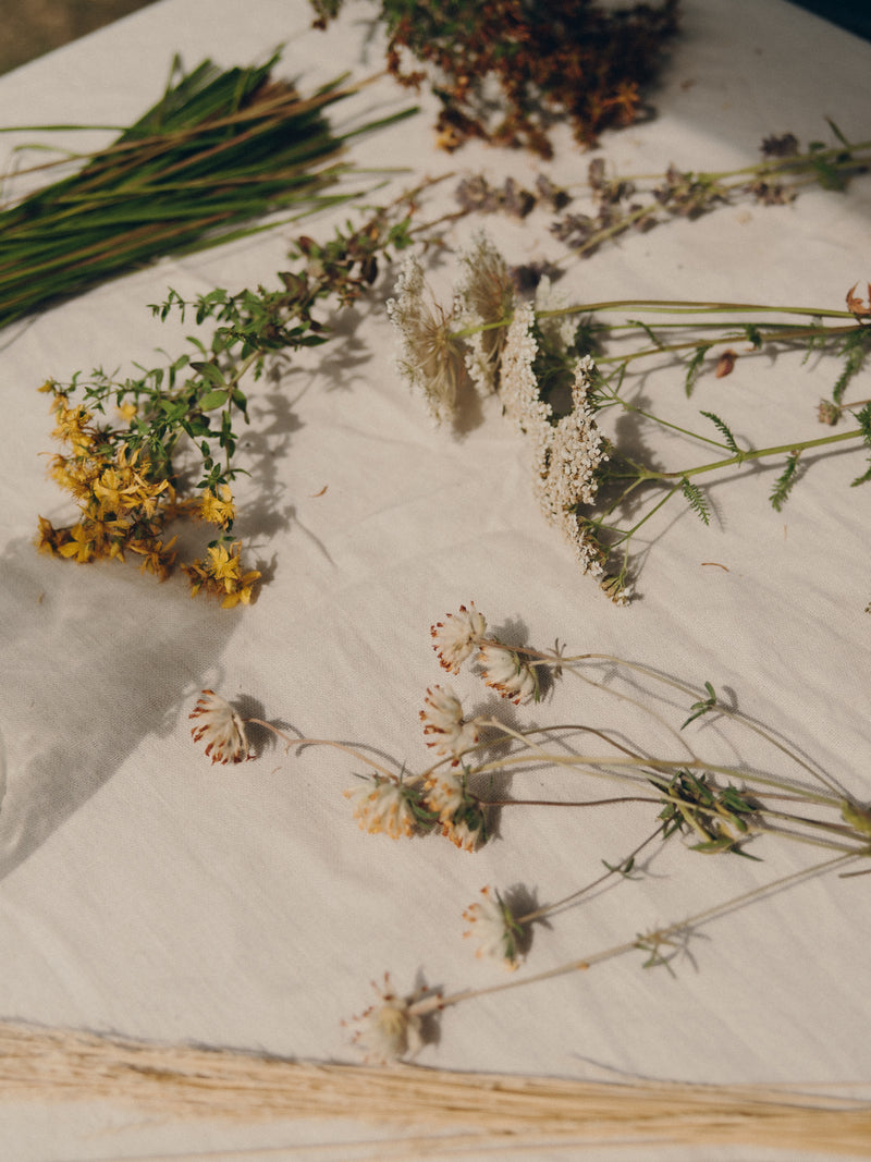 Spring flowers scattered across a linen tablecloth