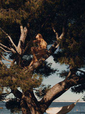 A photo of a woman sitting in a pine tree with the sunlight filtering through
