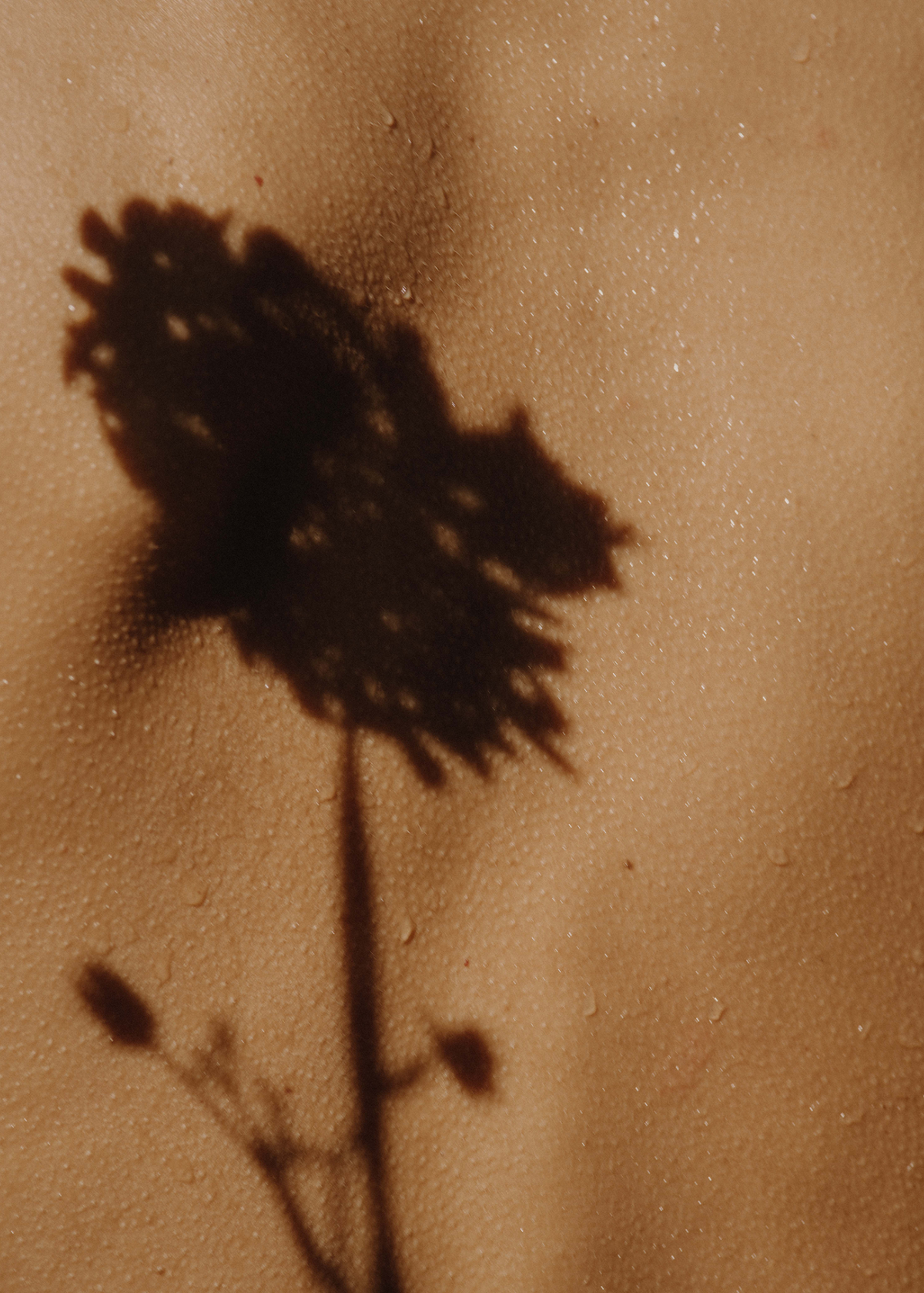 A close up detail of the shadow of a flower on skin