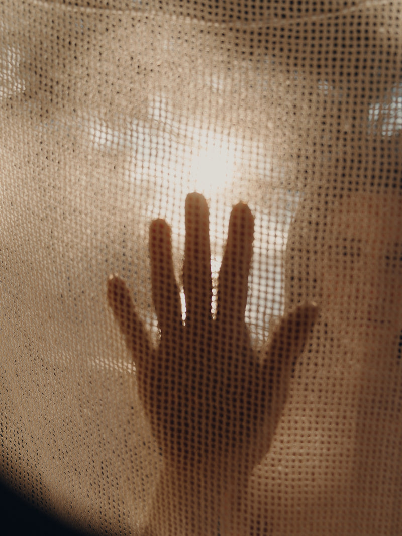 A photo of a womans hand backlit in the sunlight