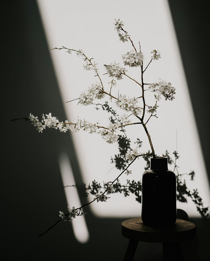 Vase with white flowers on a dark surface with light shadows