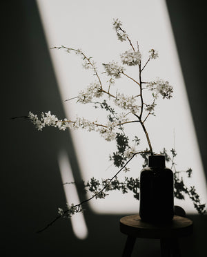 Vase with white flowers on a dark surface with light shadows